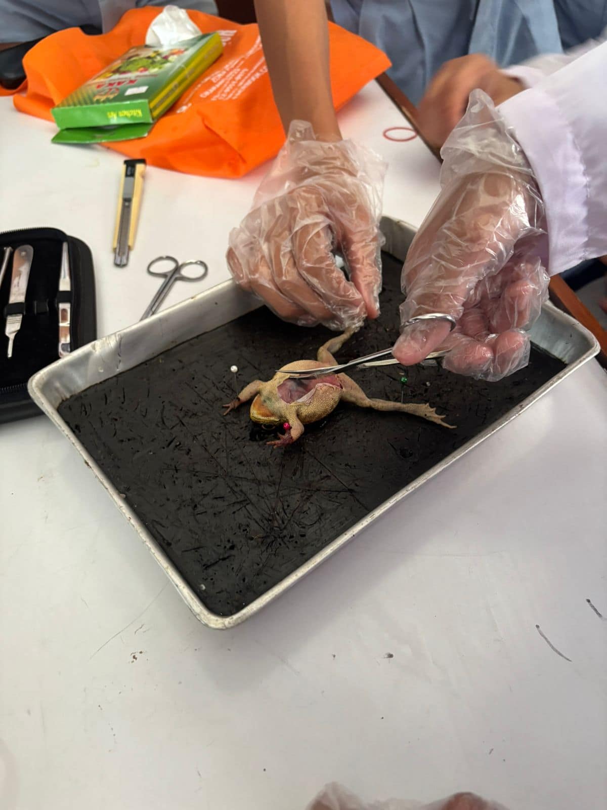 WhatsApp Image 2025-09-10 at 15.13.55