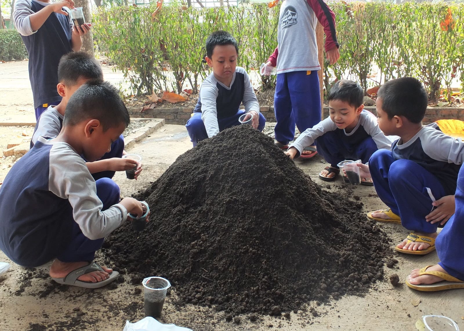 Guest Teacher SD Al Muslim