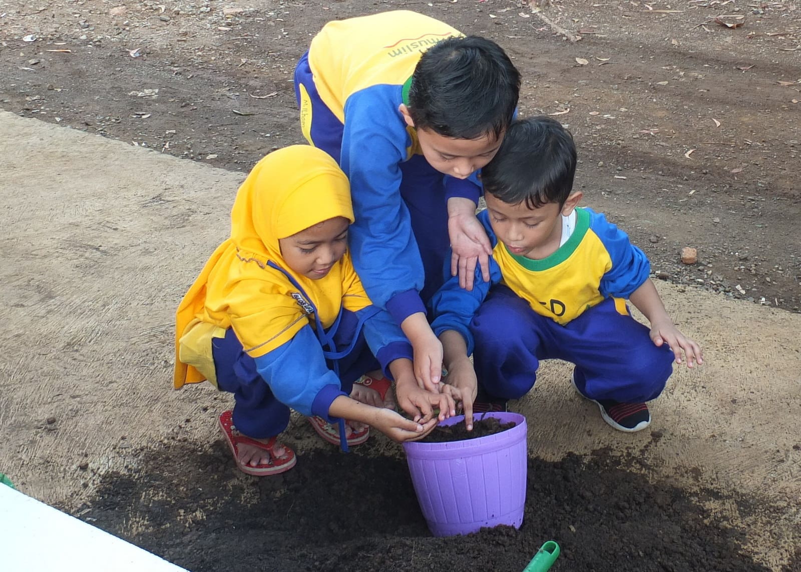 Guest Teacher SD Al Muslim