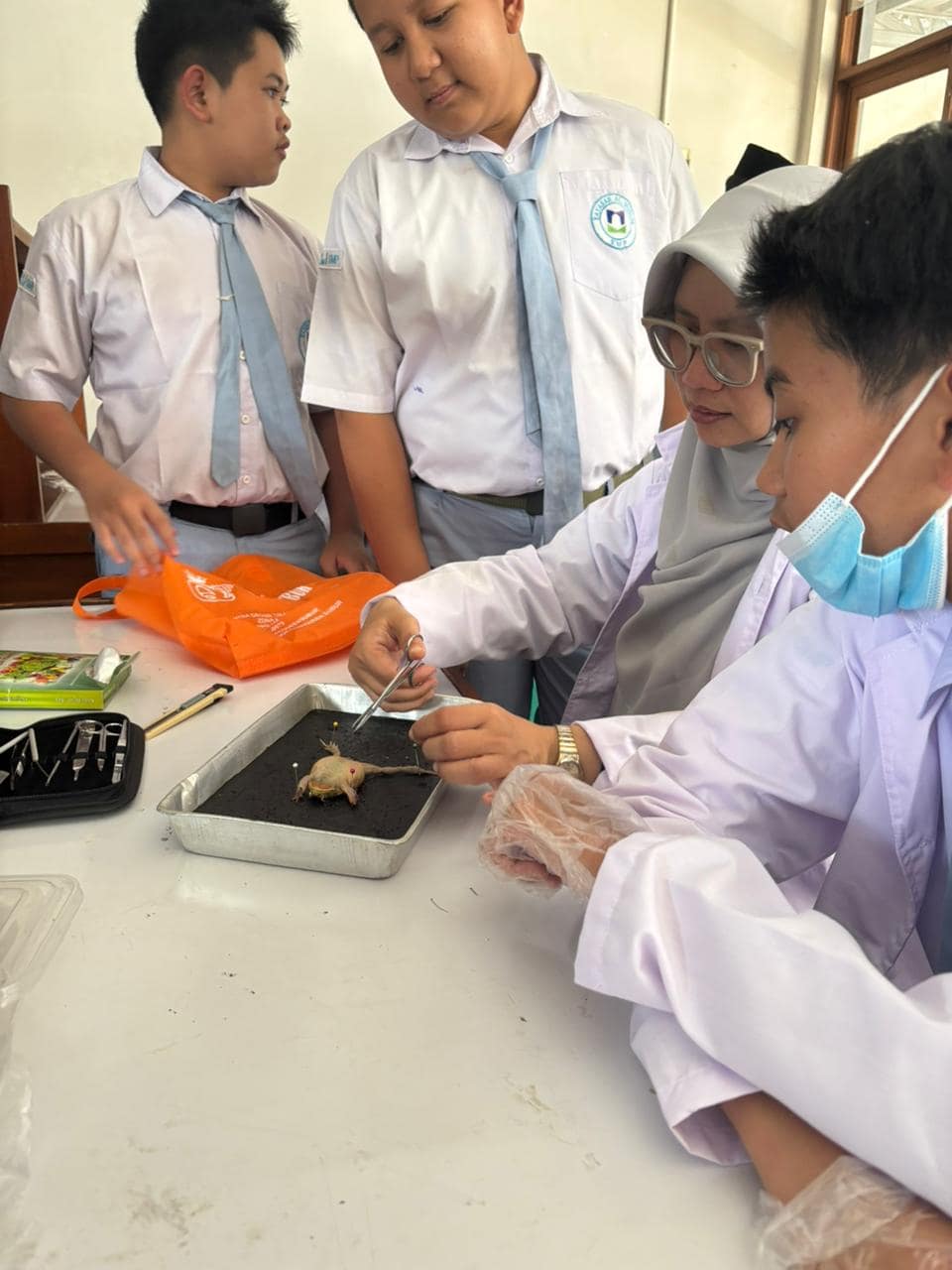 WhatsApp Image 2025-09-10 at 15.13.51